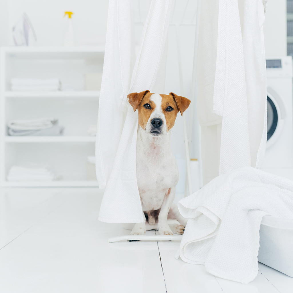 Here's what the experts say about the cleaning frequency of these items in your home