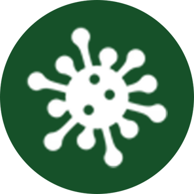 Kills 99.9% of 
bacteria and viruses