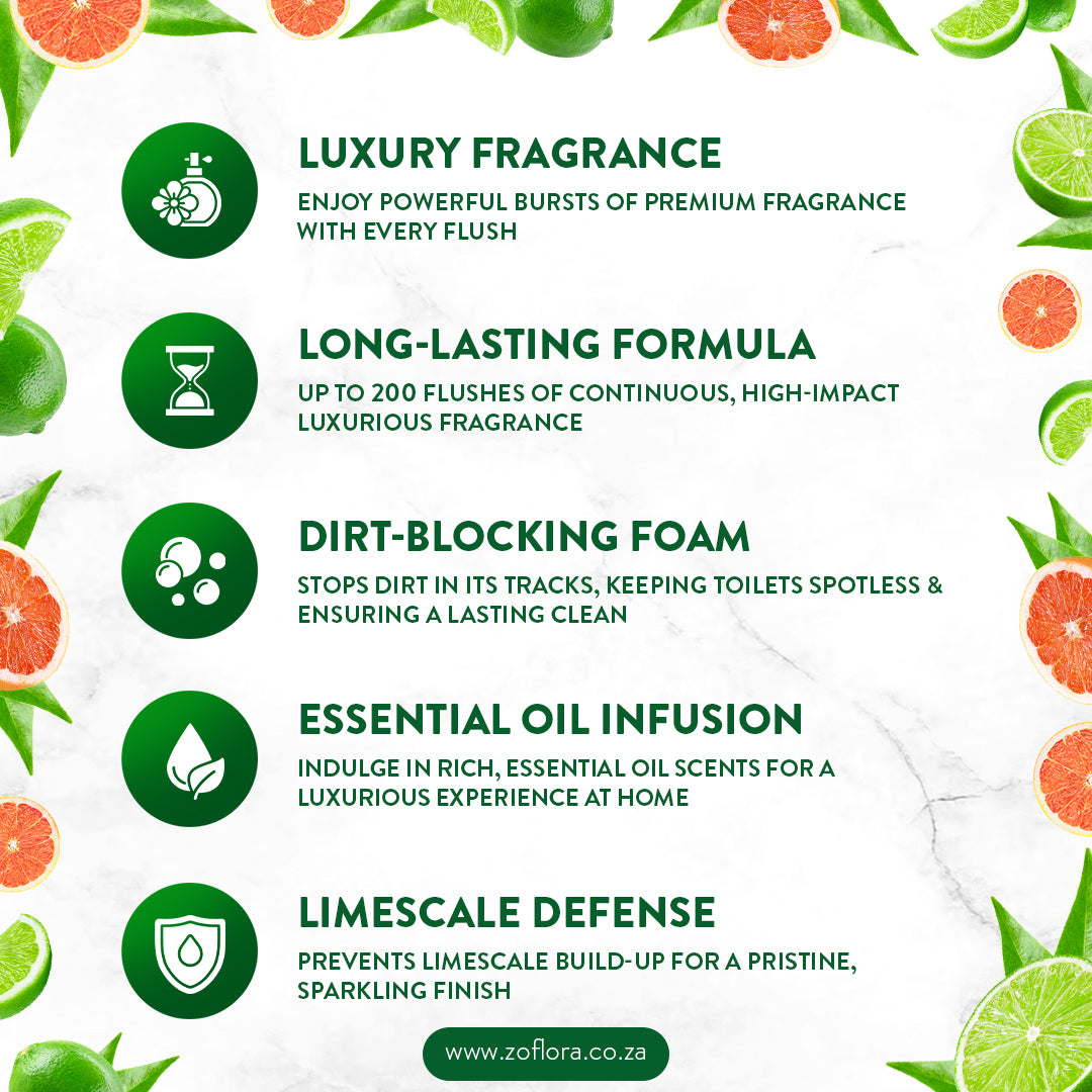 Zoflora Rim Blocks Caribbean Grapefruit &amp; Lime 2x48g