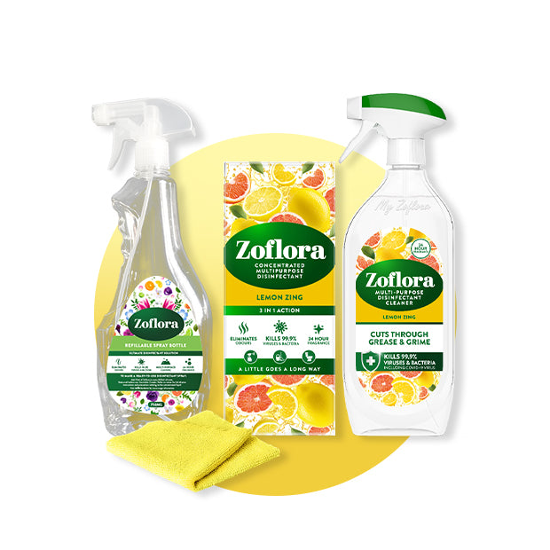 Zesty Cleaning Duo